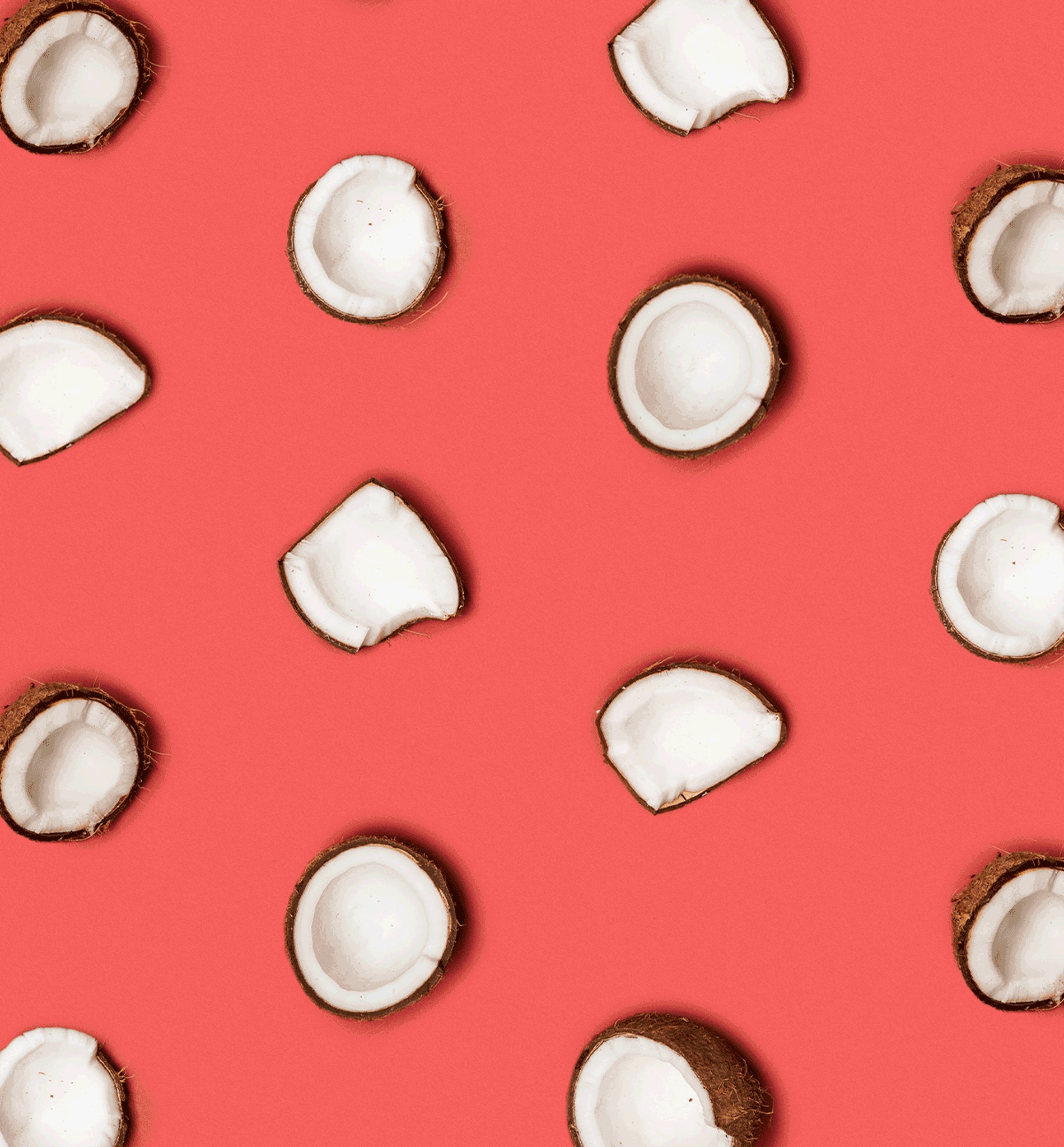 Camerons Coconut